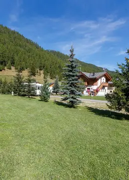 Stella Alpina