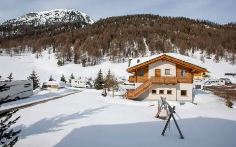 Stella Alpina
