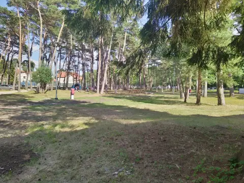 Sea Camp