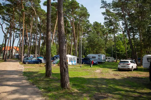 Sea Camp
