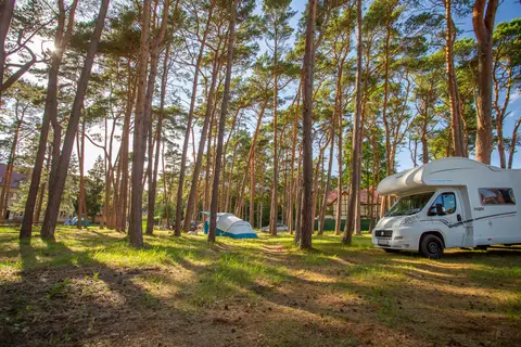 Sea Camp