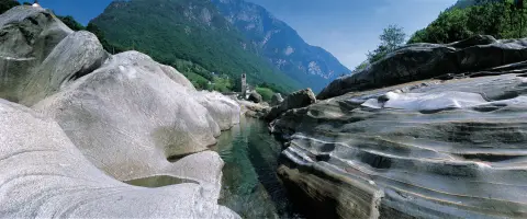 La Serta