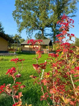 Camping&Glamping Morskershoeve