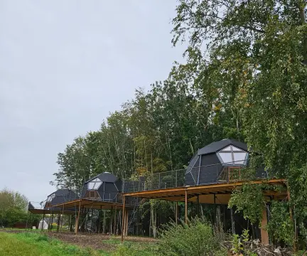 Møllegaardens Trætophytter