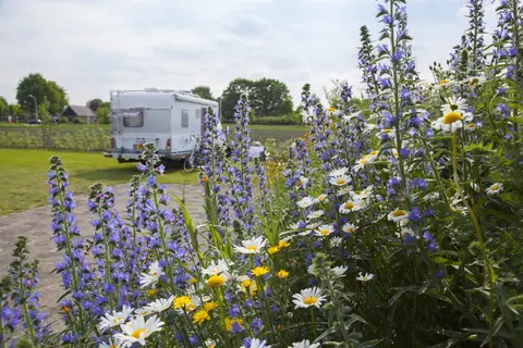 Camperplaats Lookerland Holten