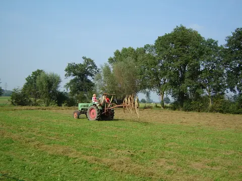 De Weerd