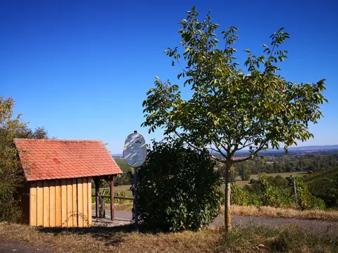 Stellplatz Weinbau Düll