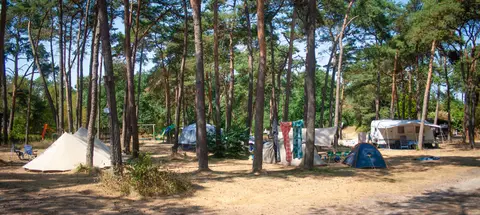 Naturistencamping De Krösenberg