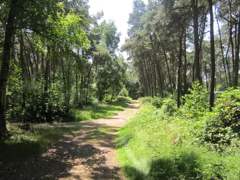 Naturistencamping De Krösenberg