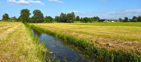 't Zwaantje