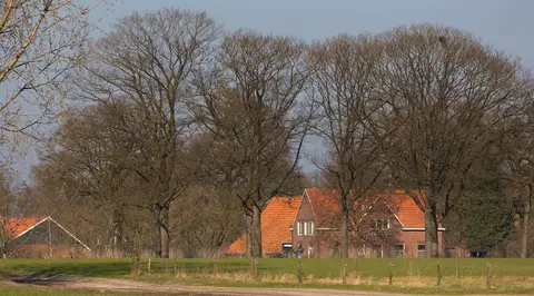 De Snippert