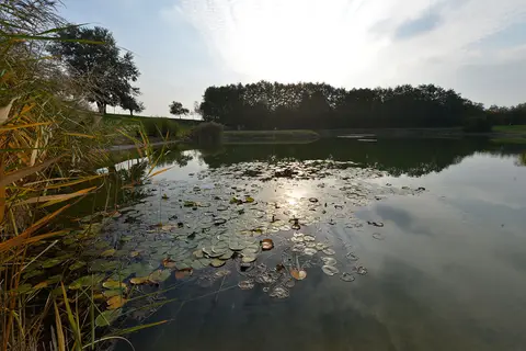 Wohnmobilstellplatz Badesee Rheinau Freistett