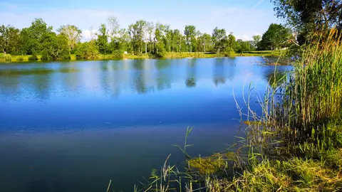 Etat Nature
