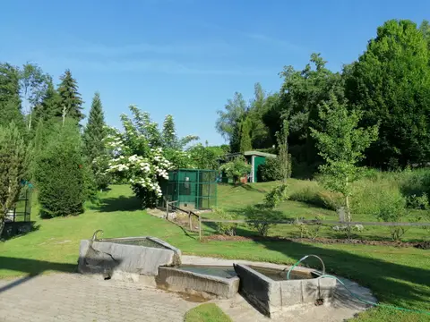 Bivouac dans les arbres