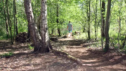 Het Brook