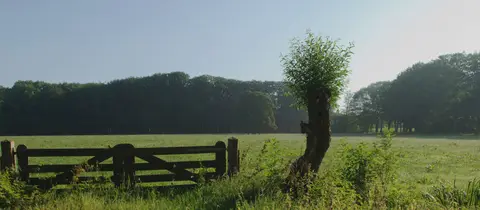 De Elzenhoeve