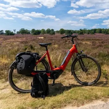 Natuurkampeerterrein De Haverkamp
