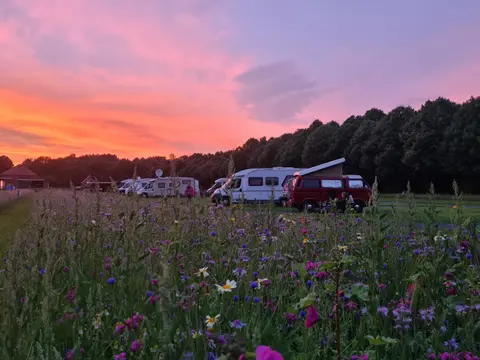Camperplaats Loosterstee