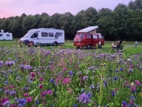 Camperplaats Loosterstee