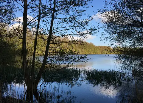 Camperplaats Loosterstee