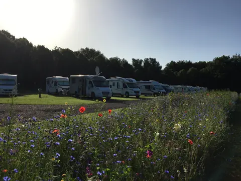 Camperplaats Loosterstee