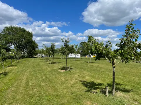 De Grote Bredelaar
