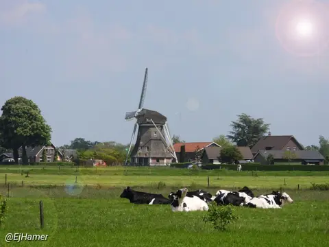 Doornekamp