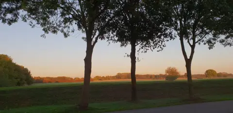 De Brunk