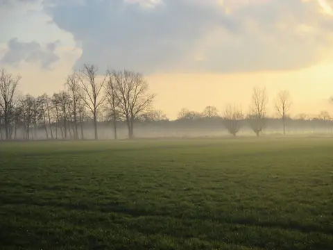 De Tolbrug