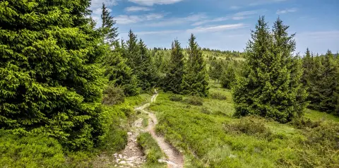 Le Vert Vallon