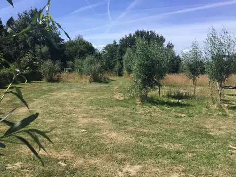 De vrije Geest