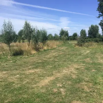 De vrije Geest