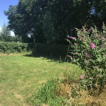 De vrije Geest