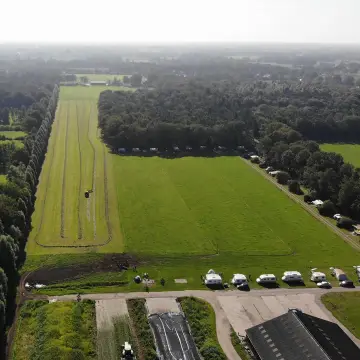 De Wolboom
