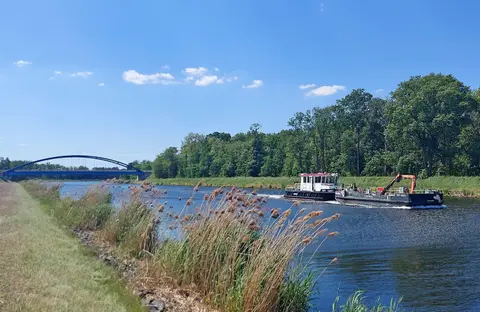 Oase in den Elbauen