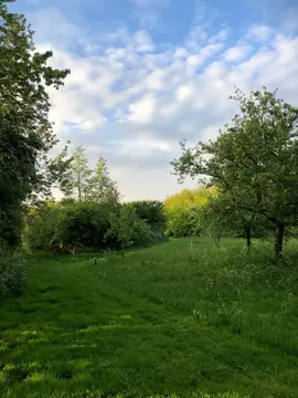 Botniahiem