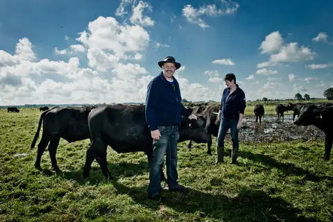De Waterbuffelfarm
