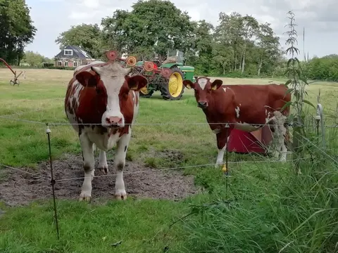 De Weidewagen
