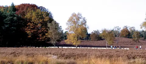 De Kamperklippen