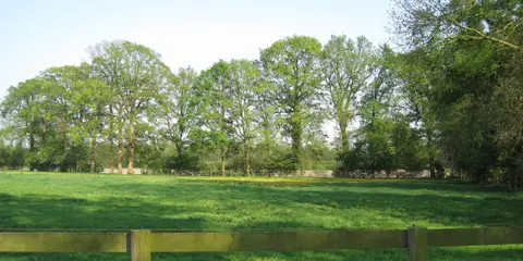 Dennemaat