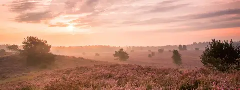 Recreatiepark Het Eperwoud