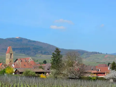 Aire de camping-cars d'Eguisheim