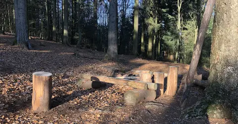 Trekking Pfalz: Ruine Guttenberg