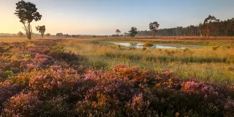 Camperplaats Budel