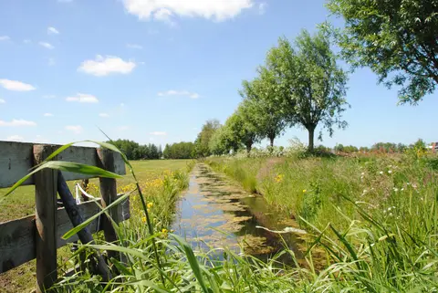 Oltenbarg