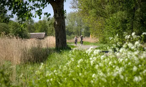 Oltenbarg