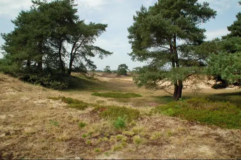 Camping Oldendiever