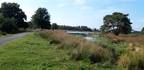 Camping Oldendiever