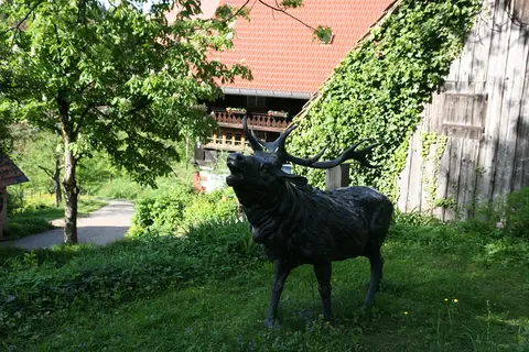 Campingplatz Ritterhof
