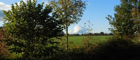 Natuurkampeerterrein Het Rhanerveld